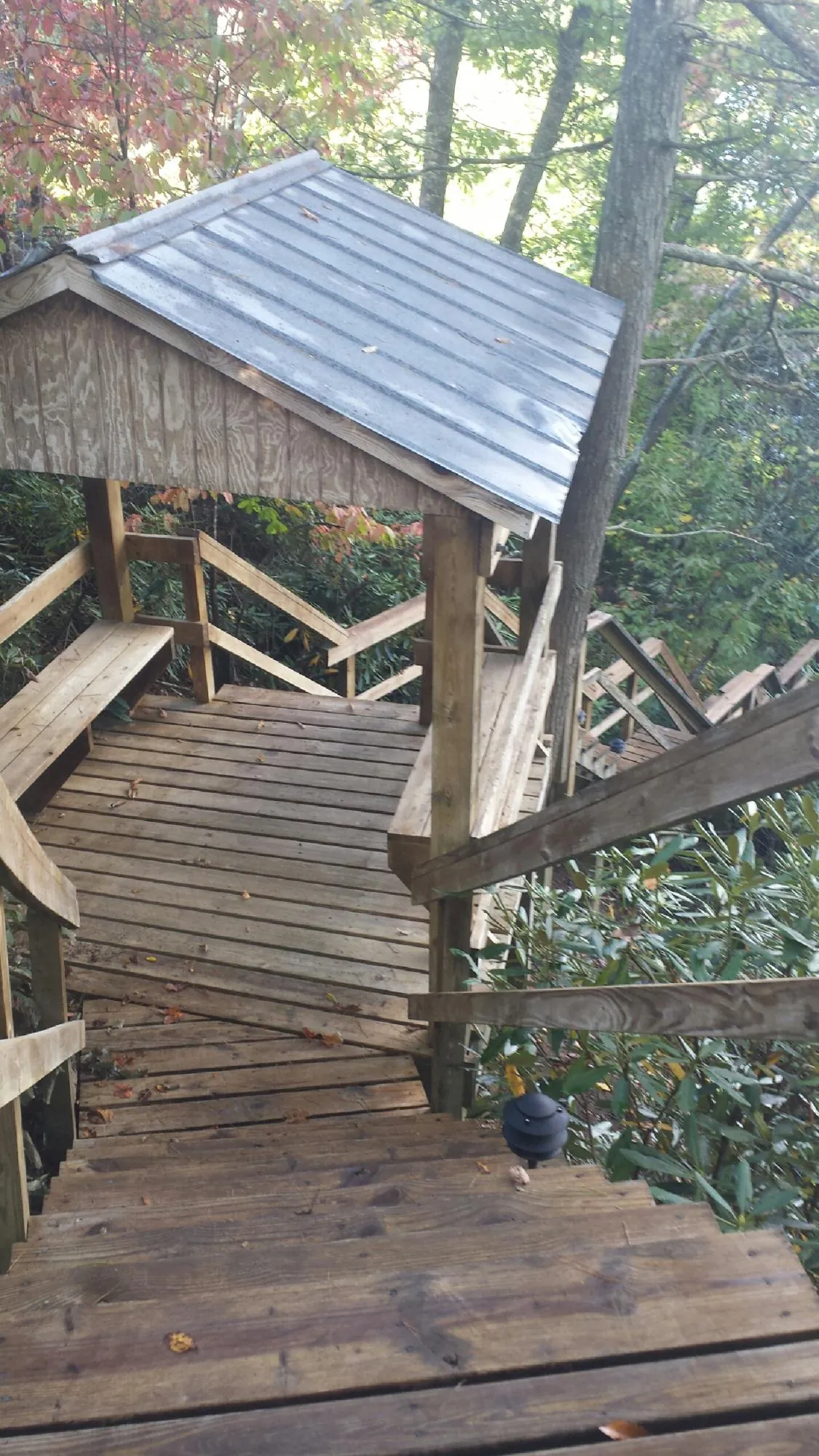 Metal roofed shelter over wooden steps on a wooded walkway — Skylight Repair & Installation work by our crew in Tarzan