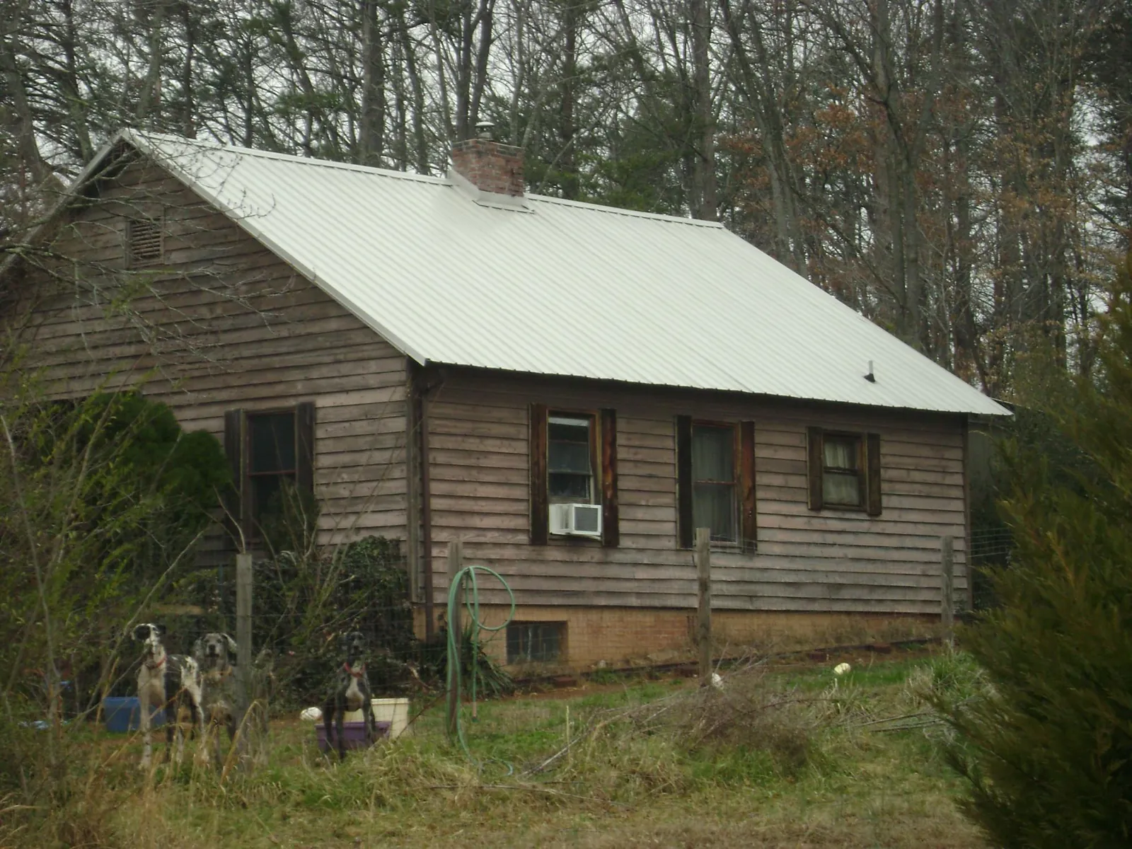 White metal roof on an old wood sided farmhouse, from a Metal Roof Installation job in Tarzan